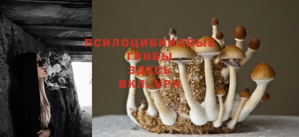 дмт Приозерск