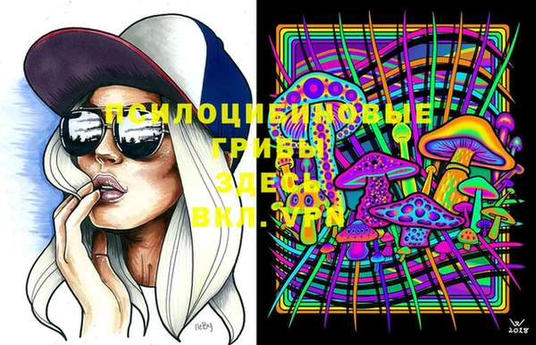 MDMA Протвино