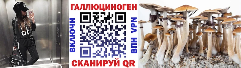 Псилоцибиновые грибы Cubensis kraken зеркало Иркутск