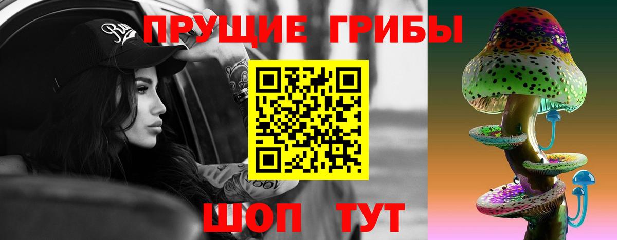 Псилоцибиновые грибы GOLDEN TEACHER  Вход с VPN  Иркутск 